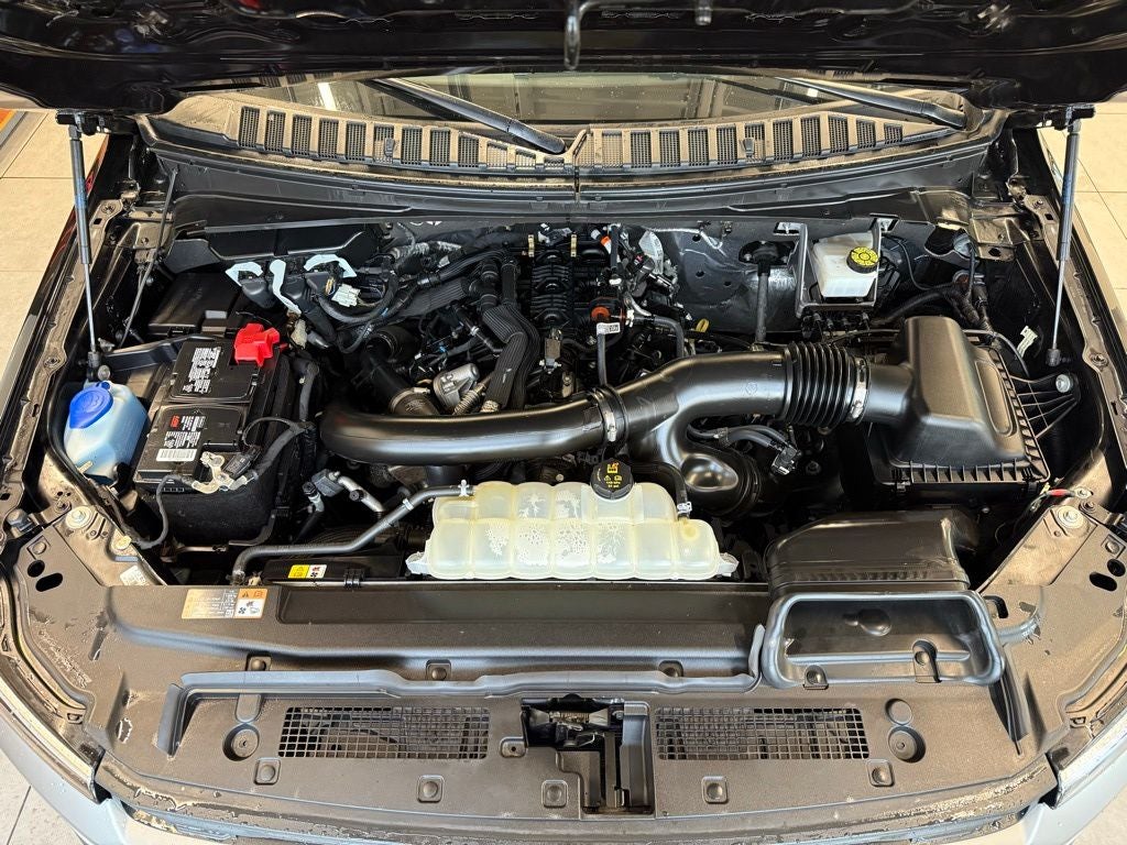 2023 Ford Expedition XLT