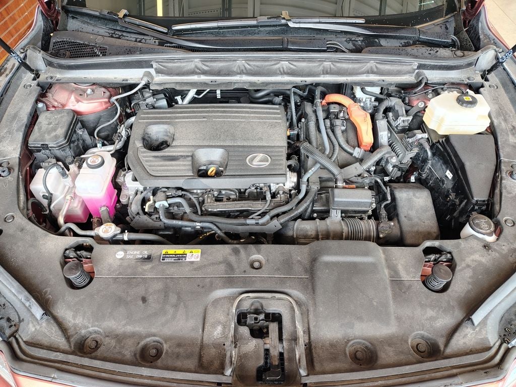 2023 Lexus RX 350h Luxury